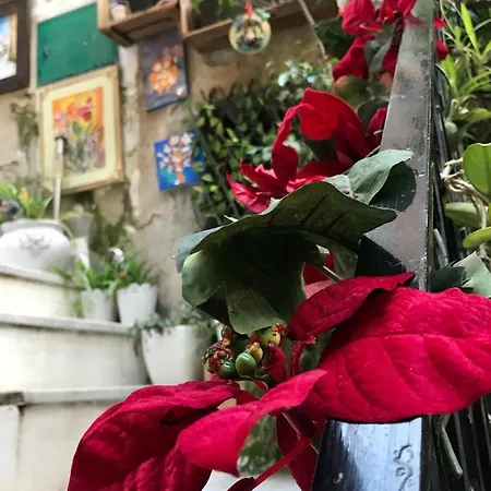 La Mansardina فندق مبيت وإفطار